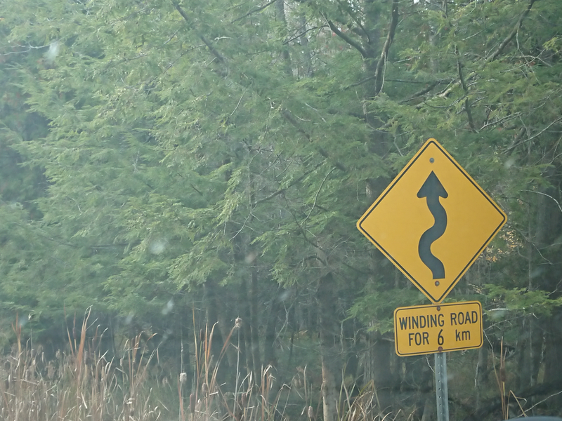This road was amazing, fresh pavement too.